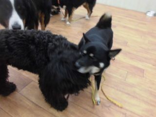 ttt.2015.9.29 (10).jpg