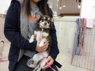 ootaka_15_11_13_001 (13).JPG