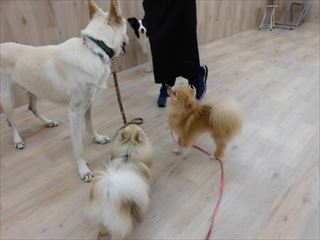 ootaka_15_6_7t_001 (7).JPG